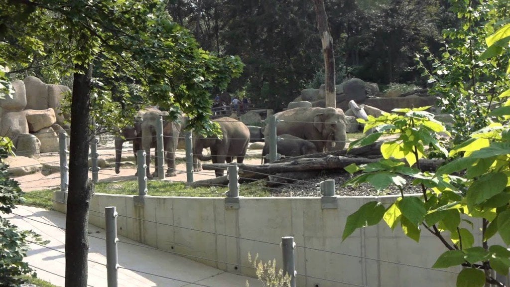 Пражский зоопарк