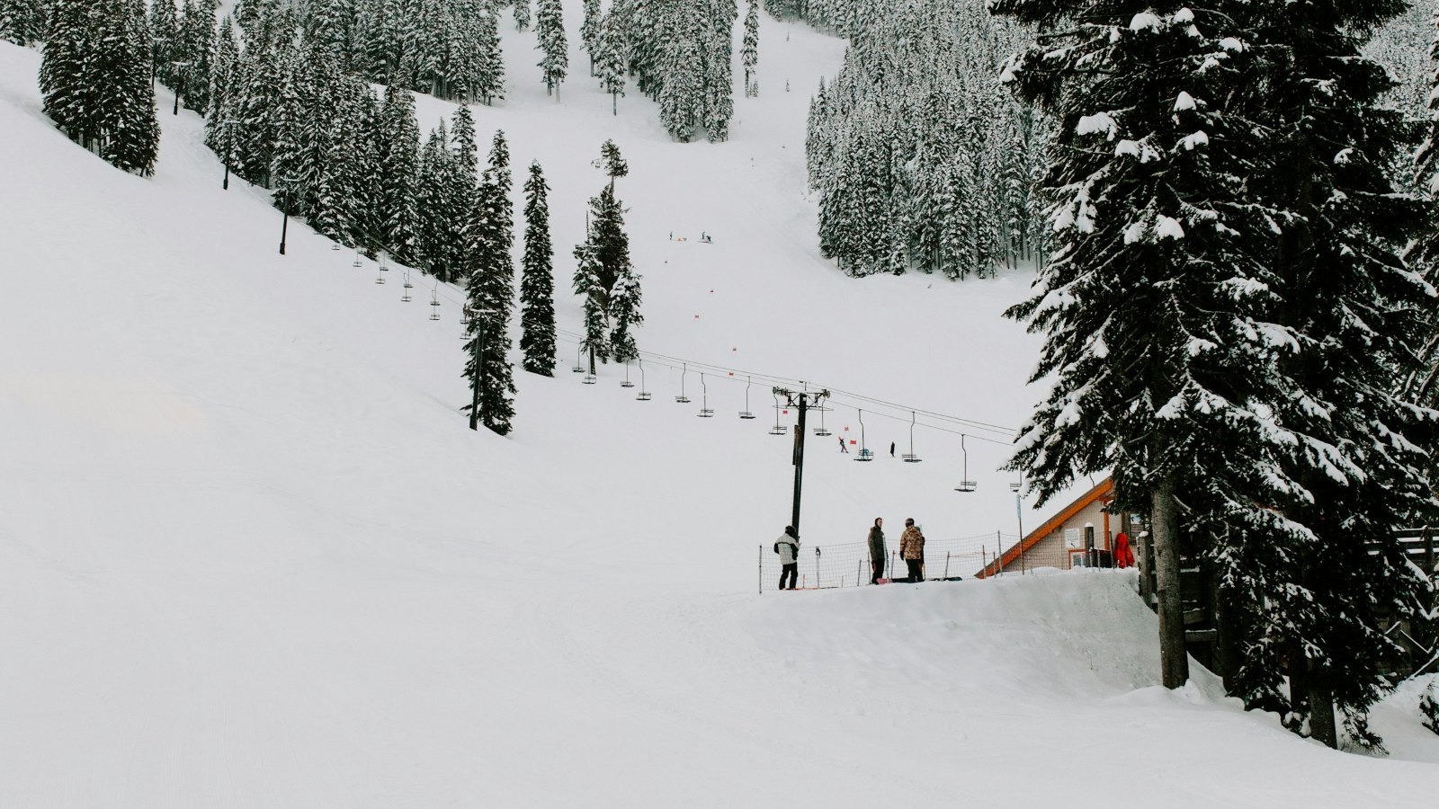 Snowy ski slope with trees